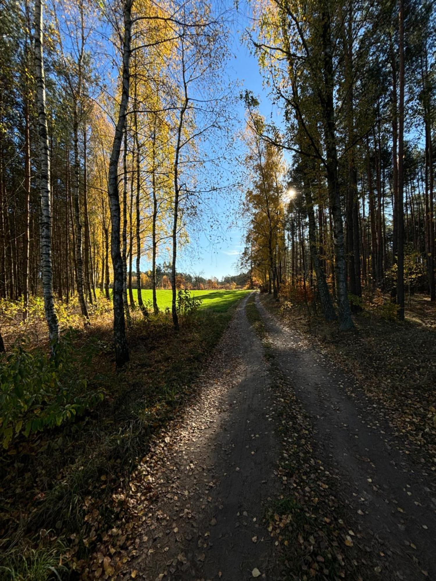 Folwark Minikowo - W Borach Tucholskich - 5 Pokoi Z Prywatnymi Lazienkami Farm stay Byslaw
