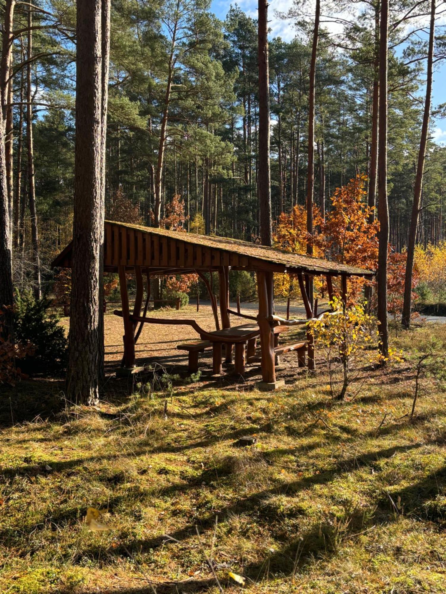 Farm stay Folwark Minikowo - W Borach Tucholskich - 5 Pokoi Z Prywatnymi Lazienkami